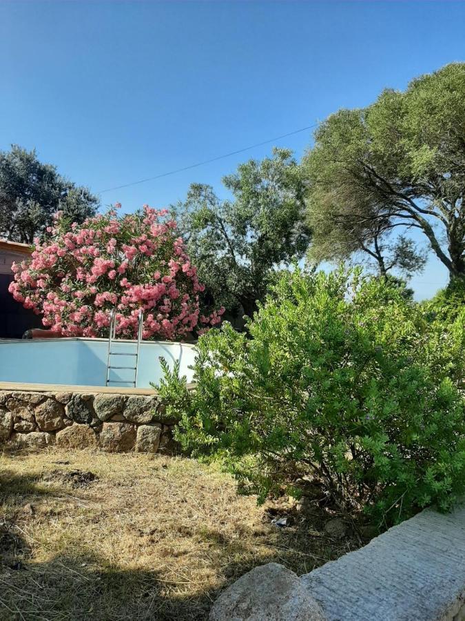 Villa Giuseppina Bonifacio  Exterior photo